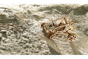 Desert buggy mechanical model kit