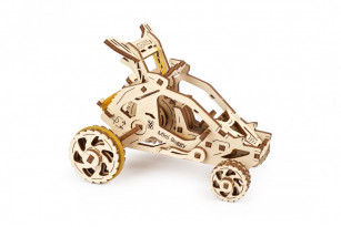 Desert buggy mechanical model kit