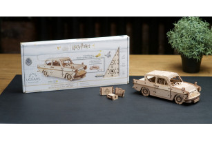 Flying Ford Anglia™ model car kit 